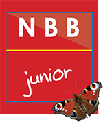 NBB junior