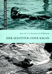 Der Seeotter oder Kalan