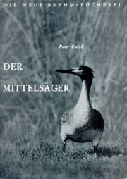 Der Mittelsäger