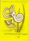 Sinnesorgane bei Tieren