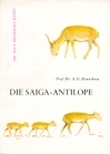 Die Saiga-Antilope