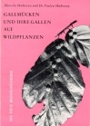 Gallmücken und ihre Gallen auf Wildpflanzen