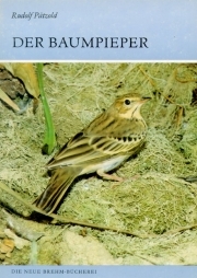 Der Baumpieper