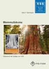 Mammutbäume