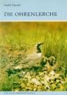 Die Ohrenlerche