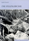 Die Feldlerche