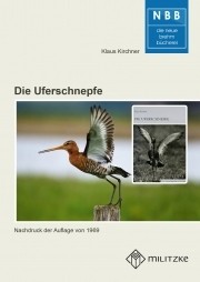 Die Uferschnepfe