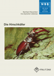 Die Hirschkäfer