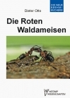 Die Roten Waldameisen