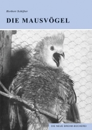 Die Mausvögel
