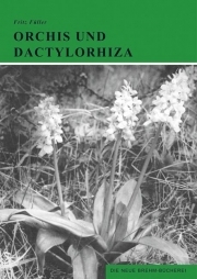 Orchideen Mitteleuropas 03