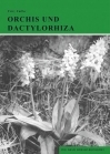 Orchideen Mitteleuropas 03