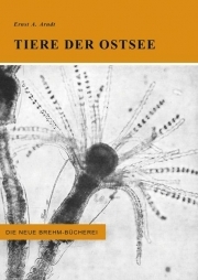 Tiere der Ostsee