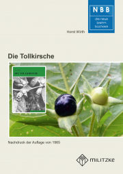 Die Tollkirsche