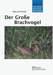 Der Große Brachvogel