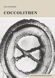 Coccolithen