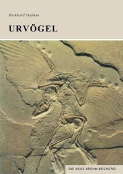 Urvögel