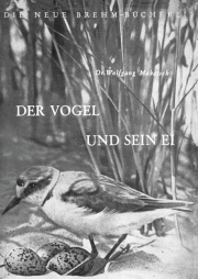 Der Vogel und sein Ei