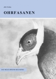 Ohrfasanen