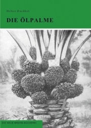 Die Ölpalme