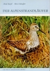 Der Alpenstrandläufer