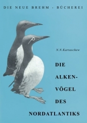 Die Alkenvögel des Nordatlantiks