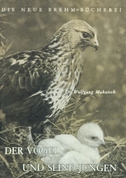 Der Vogel und seine Jungen