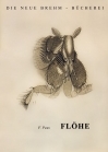 Flöhe