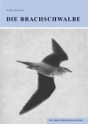 Die Brachschwalbe