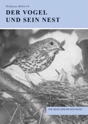 Der Vogel und sein Nest