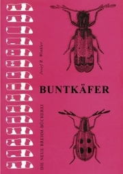 Die Buntkäfer