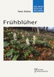 Frühblüher