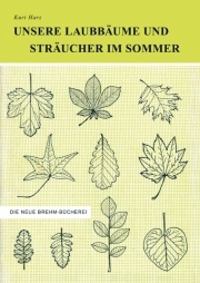 Unsere Laubbäume und Sträucher im Sommer