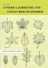 Unsere Laubbäume und Sträucher im Sommer