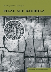 Pilze auf Bauholz