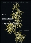 Die schönen Zaubernüsse