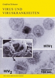 Virus und Viruskrankheiten