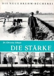Die Stärke