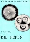 Die Hefen