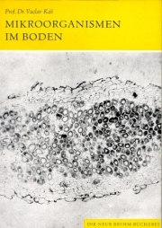 Mikroorganismen im Boden