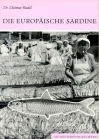 Die Europäische Sardine