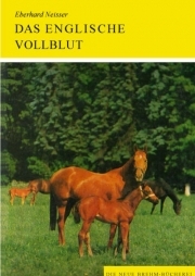 Das englische Vollblutpferd