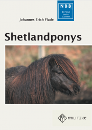 Shetlandponys