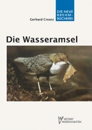 Die Wasseramsel