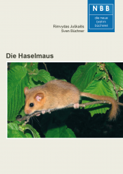 Die Haselmaus