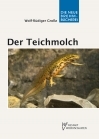 Der Teichmolch