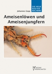 Ameisenlöwen und Ameisenjungfern