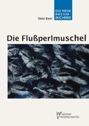 Die Flußperlmuschel