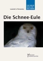 Die Schnee-Eule