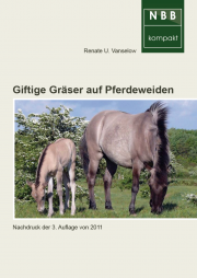 Giftige Gräser auf Pferdeweiden